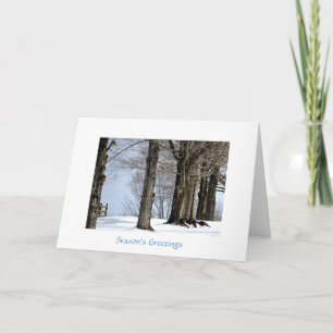 Cartes Pour Fêtes Annuelles Dindes sauvages forageant dans la neige