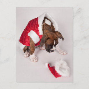 Cartes Pour Fêtes Annuelles Dog