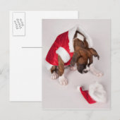 Cartes Pour Fêtes Annuelles Dog à Santa costume (Devant / Derrière)