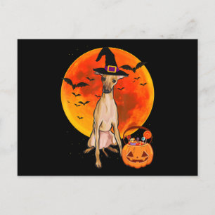 Cartes Pour Fêtes Annuelles dog halloween italian greyhound jack o lantern pum