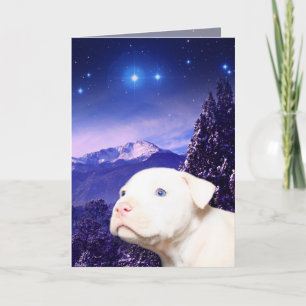 Cartes Pour Fêtes Annuelles Dog is God...