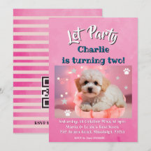 Dog Let's Party Birthday