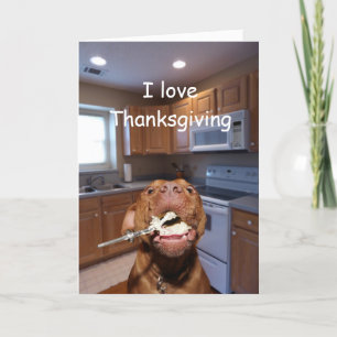 Cartes Pour Fêtes Annuelles Dog loves Thanksgiving