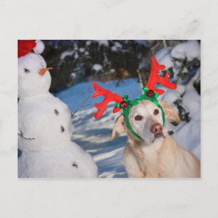 Cartes Pour Fêtes Annuelles Dog Wearing Reindeer Antlers