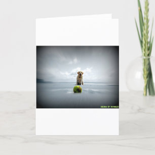 Cartes Pour Fêtes Annuelles Dongles et ball.jpg