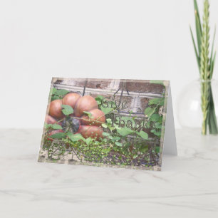 Cartes Pour Fêtes Annuelles "Donnez Merci" Jour d'Action de Grâce