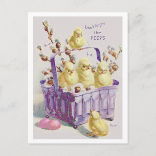 CARTES POUR FÊTES ANNUELLES "DON'T FORGET THE PEEPS" EASTER BASKET CHICKS (Devant)