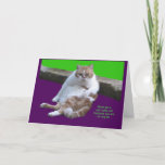 Cartes Pour Fêtes Annuelles Don't have a cat-i-tude on your 80th Birthday!<br><div class="desc">Go ahead and celebrate your birthday with some cat-I-tude.  You deserve it.  You are the cat's meow.</div>