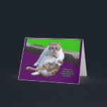 Cartes Pour Fêtes Annuelles Don't have a cat-i-tude on your 80th Birthday!<br><div class="desc">Go ahead and celebrate your birthday with some cat-I-tude.  You deserve it.  You are the cat's meow.</div>