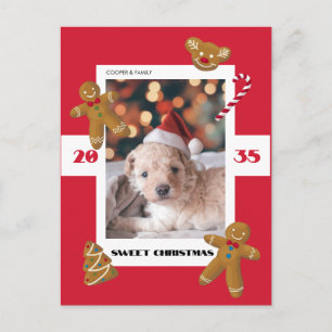 Cartes Pour Fêtes Annuelles Douce coutume de Noël photo mignonne animal de com