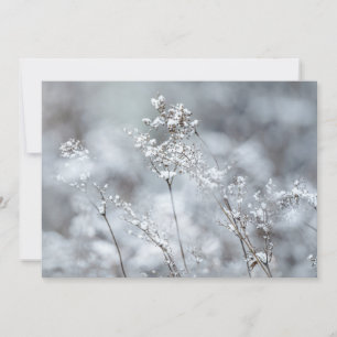 Cartes Pour Fêtes Annuelles Douceur d'hiver, enneigée