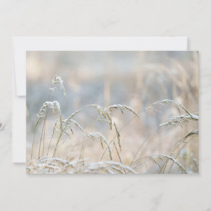 Cartes Pour Fêtes Annuelles Douceur d'hiver, première neige
