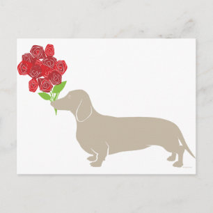 Cartes Pour Fêtes Annuelles Doxie livre 12 Roses Rouges - Saint Valentin! ! ! 