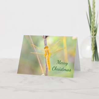 Cartes Pour Fêtes Annuelles Dragonfly de couleur jaune et or de Noël