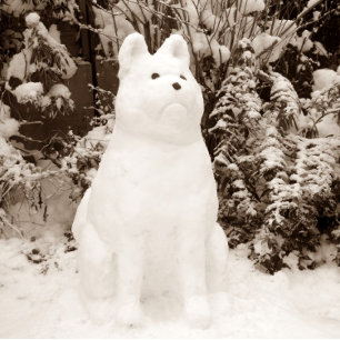 Cartes Pour Fêtes Annuelles drôle akita snowman scène neige pittoresque noël