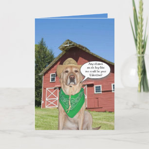 Cartes Pour Fêtes Annuelles Drôle Chien de Cow-boy / Lab Valentine