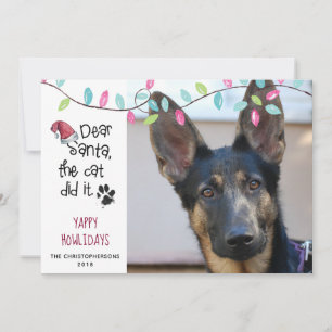 Cartes Pour Fêtes Annuelles Drôle Chien Dit Lumières Pastel Photo