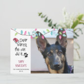 Cartes Pour Fêtes Annuelles Drôle Chien Dit | Lumières Pastel | Photo (Debout devant)