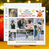 Cartes Pour Fêtes Annuelles Drôle Chien Rudolph Joyeux Pawlidays Photos Noël
