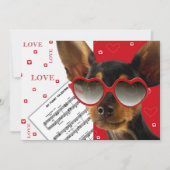 Cartes Pour Fêtes Annuelles Drôle Chien Valentine's Day Apat Card (Devant)