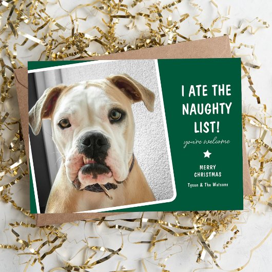Cartes Pour Fêtes Annuelles Drôle j'ai mangé Naughty List mignon chien