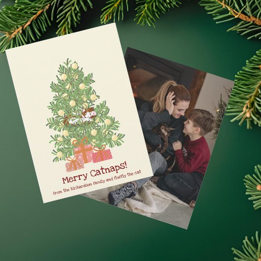 Cartes Pour Fêtes Annuelles Drôle, Joyeuses Carnaps ! Chat sur l'arbre de Noël