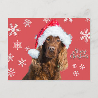 Cartes Pour Fêtes Annuelles Drôle Joyeux chien de Noël à Père Noël Casquette