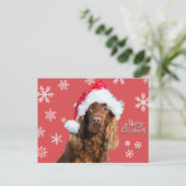 Cartes Pour Fêtes Annuelles Drôle Joyeux chien de Noël à Père Noël Casquette (Debout devant)