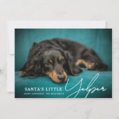 Cartes Pour Fêtes Annuelles Drôle mignon Père Noël Petit Yelper' Chien Photo (Devant)