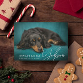 Cartes Pour Fêtes Annuelles Drôle mignon Père Noël Petit Yelper' Chien Photo