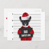 Cartes Pour Fêtes Annuelles Drôle Mugshot de Noël Mauvais Chien Père Noël (Devant / Derrière)