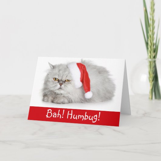 Cartes Pour Fêtes Annuelles Drôle Noël Bah Humbug Chat (Devant)