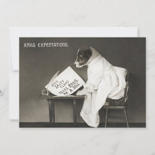 Cartes Pour Fêtes Annuelles Drôle Noël Chien Xmas attentes