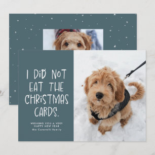 Cartes Pour Fêtes Annuelles Drôle photo de mignon animal bleu clair Nouvel An
