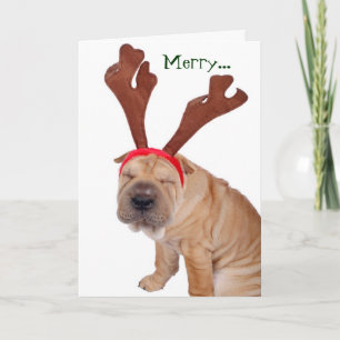 Cartes Pour Fêtes Annuelles Drôle Salutations de vacances du chien