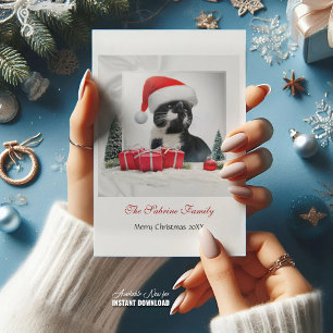 Cartes Pour Fêtes Annuelles Drôle Sarcastique Chat Santas Casquette Noël