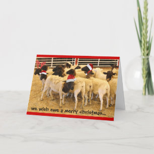 Cartes Pour Fêtes Annuelles Drôle, Wish Ewe a Joyeux Noël, pas de bogues BAA