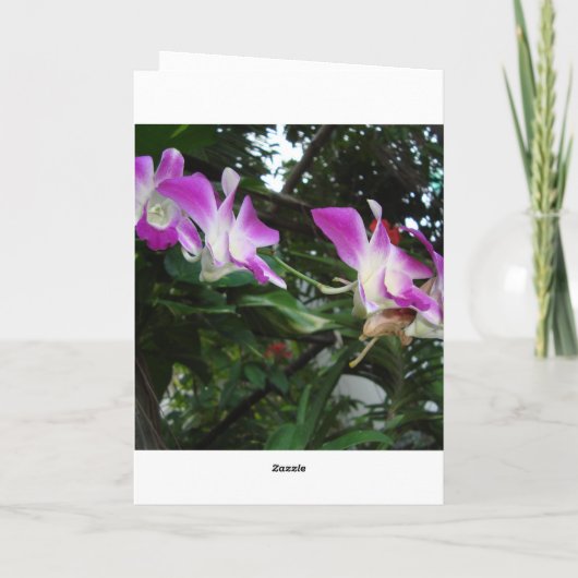 Cartes Pour Fêtes Annuelles DSC05795, Bonne année khmère (Dos)