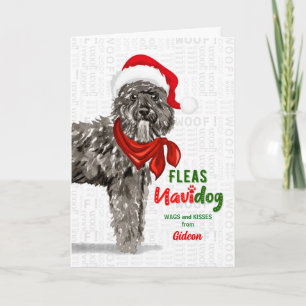 Cartes Pour Fêtes Annuelles du Noël du chien du Bouvier des Flandres