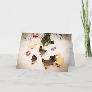 Cartes Pour Fêtes Annuelles Duck Christmas Party Christmas Card