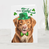 Cartes Pour Fêtes Annuelles Duck Toller Dog Feelin' Lucky St Patrick's Day (Devant)