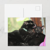 Cartes Pour Fêtes Annuelles Durée du bain (Devant / Derrière)