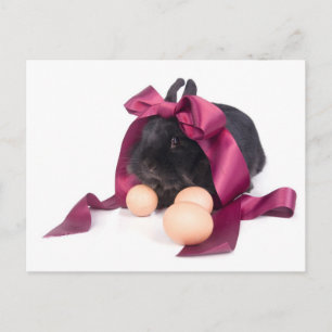Cartes Pour Fêtes Annuelles Easter Bunny