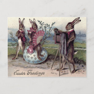 Cartes Pour Fêtes Annuelles Easter Bunny Couple Camera Eglise