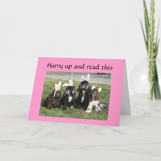 CARTES POUR FÊTES ANNUELLES EASTER BUNNY EST SUR UNE RAGE D'OREILLES! ! ! (Devant)