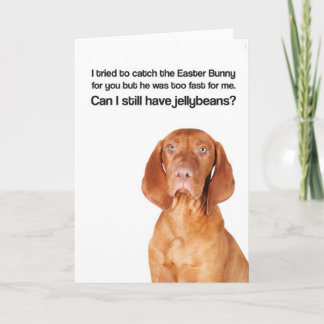 Cartes Pour Fêtes Annuelles Easter Bunny Was Too Fast (Vizsla) - Greeting Card
