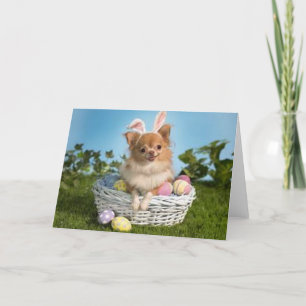 Cartes Pour Fêtes Annuelles Easter Chihuahua