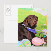 Cartes Pour Fêtes Annuelles Easter - Chocolate Labrador - Hershey (Devant / Derrière)