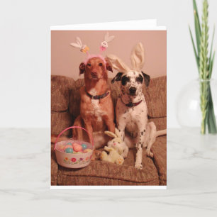 Cartes Pour Fêtes Annuelles Easter Dogs