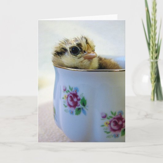 Cartes Pour Fêtes Annuelles Easter Egger Chick in Cup Toutes les occasions Sal (Devant)
